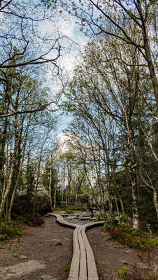 Formacje skalne na Szczelińcu Wielkim