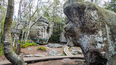 Formacje skalne na Szczelińcu Wielkim (Słoń)