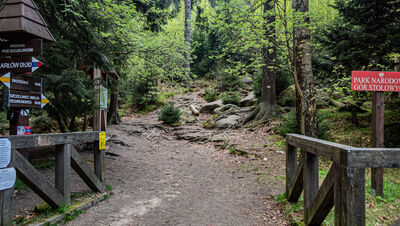 Żółty szlak przy Parkingu pod Szczelińcem