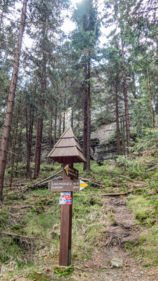 Kierunkowskaz przy żółtym szlaku