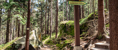 Skalna Furta ↔ Lisia Przełęcz [Drogowskaz przy żółtym szlaku "Podmorskie Kanały"]