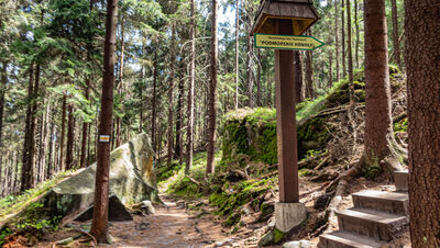 Drogowskaz przy żółtym szlaku "Podmorskie Kanały"