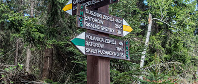 Dylówka, skrzyżowanie szlaków [Skrzyżowanie szlaków - Dylówka]