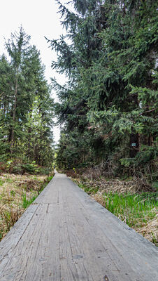 Kładka w kierunku Skały Puchacza