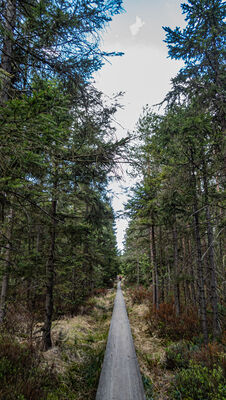 Kładka w kierunku Skały Puchacza