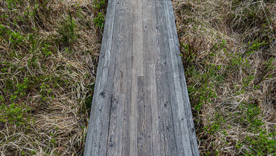 Kładka w kierunku Skały Puchacza