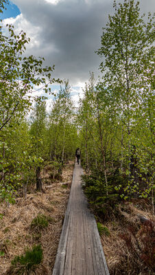 Kładka w kierunku Skały Puchacza