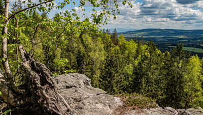 Widok ze Skał Puchacza