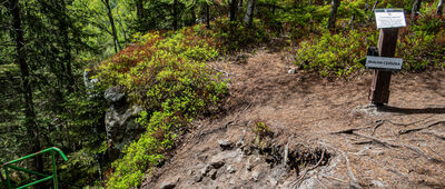 Odejście do Skalnej Czaszki [Zejście do Skalnej Czaszki]