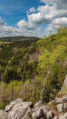 Widok ze skał w okolicy Kopy Śmierci