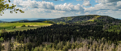 Narożnik [Widok z Narożnika]