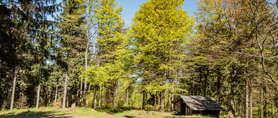 Jelenia Polana [Jelenia Polana]