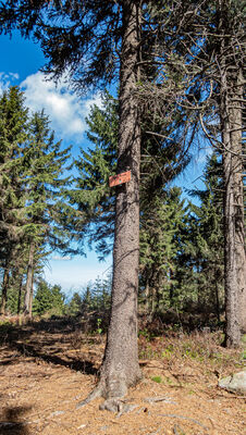 Mała Sowa 972 m n.p.m.