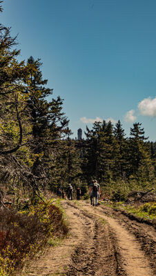 Cesarska Droga z widokiem na wieżę na Wielkiej Sowie