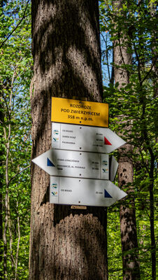 Rozdroże pod Zwierzyńcem