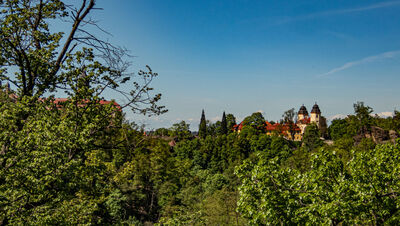 Widok na Zamek Książ z punktu widokowego pod Starym Zamkiem Książ