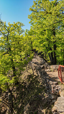 Ruiny Starego Zamku Książ
