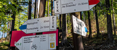 Międzygórze Górne [Parking przy ul. Śnieżnej w Międzygórzu]