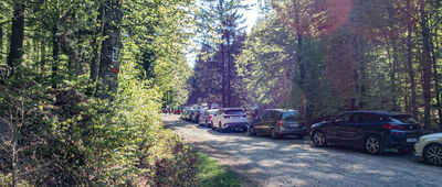 Międzygórze Górne [Parking przy ul. Śnieżnej w Międzygórzu]