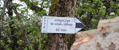 Baza namiotowa Radocyna