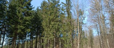 Przełęcz Chwalisławska