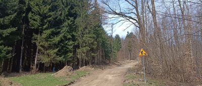 Przełęcz Leszczynowa