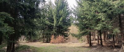 Przełęcz Leszczynowa ↔ Pod Wilczą Górą