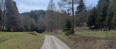 Pod Wilczą Górą ↔ Dzika Dolina