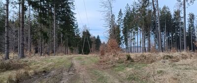 Pod Gomołą Jesionowską