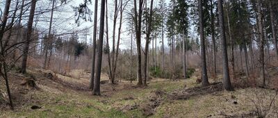 Pod Gomołą Jesionowską ↔ Pod Białym Kamieniem