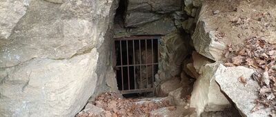 Pod Białym Kamieniem ↔ Jaskinia Radochowska