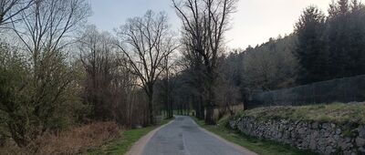 Ożary Górne ↔ Ożary, młyn wodny