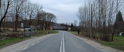 Radochów, droga główna