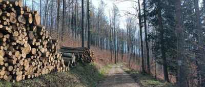 Przełęcz Kłodzka ↔ Przełęcz Chwalisławska