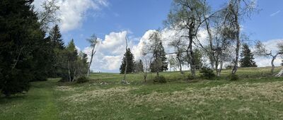 Rýchorská bouda ↔ Pod Kravím Vrchem