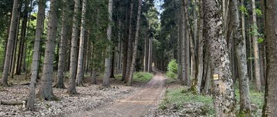 Pod Lovčí boudou ↔ Pod Kravím Vrchem