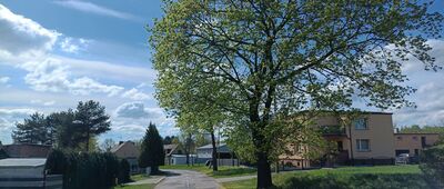 Pyskowice ↔ Dzierżno