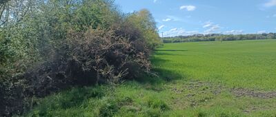 Rozejście szlaków żółty / czarny