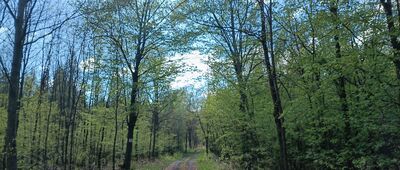 Rozejście szlaków czerwony / czarny