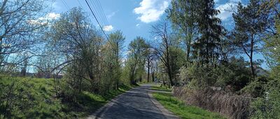 Pławniowice, most ↔ Rozejście szlaków czerwony / czarny