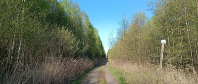 Rozejście szlaków żółty / czarny ↔ Rudziniec