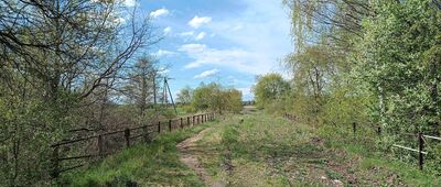 Rozejście szlaków żółty / czarny ↔ Dzierżno