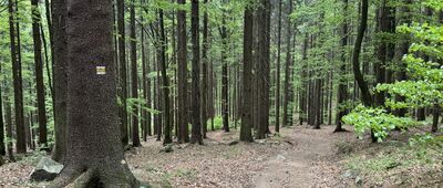 Pod Strážnou horou ↔ Kačenka, vyhl., odb.