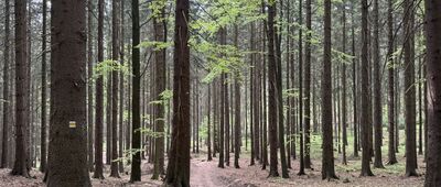 Pod Strážnou horou ↔ Kačenka, vyhl., odb.