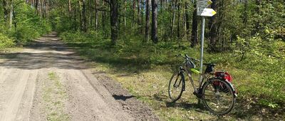 Rozejście szlaków czerwony / żółty ↔ Lipniak-Majorat, rozejście szlaków