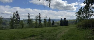 Rozejście szlaków ↔ Dłużec, wieża widokowa