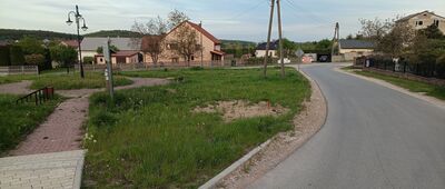 Zelejowa