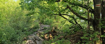 Zelejowa ↔ Zelejowa