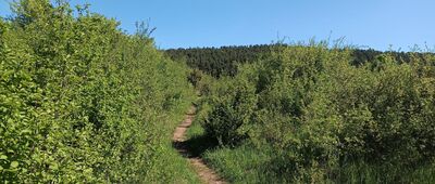 Pod Zelejową