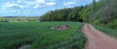 Rezerwat Góra Zelejowa